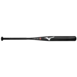 CRBN1 - Cage Bat - Fastpitch Softball Training Bat (-10)