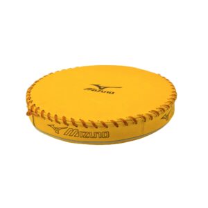 Ball Glove Pounding Pad